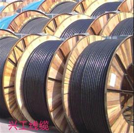 崇州市兴工电器电缆厂